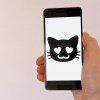 8 jocuri de mobil care sunt pe gustul iubitorilor de pisici