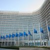 Comisia Europeană ajută cu bani producătorii de tomate şi de usturoi