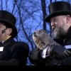 Phil, celebra marmotă „meteorolog” din SUA, a anunțat când va veni primăvara – VIDEO