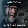 Premiera ”Sleeping Dogs”, cu Russell Crowe, o superproducție după o carte a unui român. A fost consilierul lui Adrian Năstase!