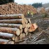Industria lemnului se pregăteşte de proteste