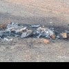 Resturi de dronă Shahed au căzut în Republica Moldova (foto)