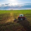 Circa 3% din companiile agricole din România sunt deţinute de străini