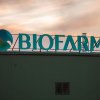 Biofarm înregistrează un profit net de 77 milioane lei în anul 2023, în creștere cu 9% față de 2022
