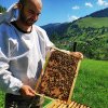Vasluiul contribuie decisiv ca România sã ocupe locul II , dupã Spania, în topul european al apicultorilor