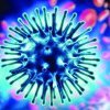 Noua pandemie. Europa, lovită de o gripă cu simptome ciudate