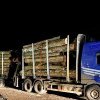 Ansamblu rutier de 20.000 de euro și bușteni tăiați ilegal în valoare de 10.843 de lei, confiscate de la un bărbat din Boroaia