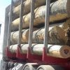 Autoutilitară folosită la transportul de lemn de foc tăiat ilegal confiscată de polițiști