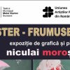 Expoziție de grafică și pictură a artistului plastic Niculai Moroșan la Teatrul ”Matei Vișniec” Suceava