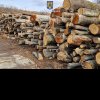 Firmă din Straja amendată cu 30.000 de lei și lemn fără acte confiscat în valoare de peste 38.000 de lei