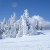 Meteorologii au emis două coduri galbene de ninsori și vânt puternic valabile în județul Suceava până luni noaptea