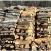 Peste 12.000 mc lemn de foc și lemn de lucru la vânzare la mai multe ocoale silvice din județ la prețuri între 150 și 260 lei/mc