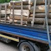Transport ilegal de 3,44 mc de lemn de foc confiscat de polițiști de la un bărbat din Horodnic de Sus