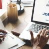 Locuri de muncă vacante în județul Bihor. Peste 400 de posturi disponibile pentru orădeni, prin AJOFM