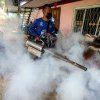 Febra dengue bagă Brazilia în stare de urgență. Boala este transmisă de țânțari