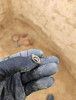O nouă descoperire arheologică în apropierea Tomis-ului. Noua podoabă e legată de Sfântul Valentin