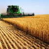 Agricultorii români vor primi ajutoare de 241 milioane de euro de la Uniunea Europeană