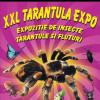 XXL Tarantula Expo, la Centrul Cultural Reduta