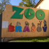 Ziua Mondială a Faunei Sălbatice, marcată la Zoo Brașov