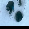 AVALANȘĂ de mari de dimensiuni la Bâlea Lac. Zăpada a îngropat corturile unor turiști - FOTO
