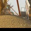 Florin Barbu: România nu a importat grâu din Ucraina. S-au depus şapte cereri de import de cereale din Ucraina, dar nicio cerere nu este aprobată
