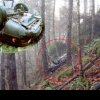 O mașină dispărută în urmă cu 27 de ani a fost găsită în pădure, înfiptă într-un pom. Tulburător ce era lângă ea! FOTO