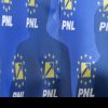 Opoziția a câștigat: PNL merge singur în alegeri