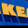 Ploșnițe la IKEA: insectele se ascund în lemn și se înmulțesc rapid. Ce magazin din România a fost INFESTAT: anunțul companiei 