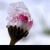 Revin ninsorile în luna martie, în România. Prognoza AccuWeather