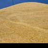 România, cel mai mare importator de cereale ucrainene! Raportul care le dă peste nas lui Iohannis și Ciolacu