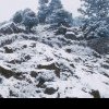 Șase morți și 30 de dispăruți în zăpadă, în urma unei avalanșe în nord-vestul Afganistanului