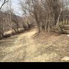 Satul din România în care pământul se vinde cu doar 1 leu metrul pătrat! În zonă NU a mai rămas niciun locuitor