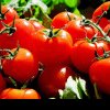 Scandalul legumelor toxice de la producătorii din Buzău. Au folosit substanțe interzise pentru a forța coacerea roșiilor și castraveților