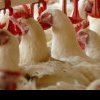 Transporturile de ouă şi carne de pasăre, verificate la Arad. Focarele de gripă aviară din Ungaria au băgat spaima în autoritățile române