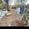 „1.350 de milioane de doze, în valoare de 700 de milioane de dolari”. Armata mexicană a aruncat în aer cel mai mare „laborator de droguri” din țară | VIDEO