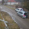 Bărbat filmat când scoate din portbagaj trei pui de câine, pe care îi abandonează într-o localitate din Cluj. Polițiștii îl caută pe șofer | VIDEO