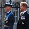 Ce urmează pentru William, Harry și ceilalți membri ai Casei Regale după diagnosticul de cancer primit de Regele Charles