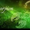 Horoscop Urania săptămânal pentru Scorpion. Previziuni pentru perioada 24 februarie – 1 martie 2024
