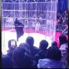 Momente de panică într-un circ din China, după ce un urs a fost la un pas să iasă din cușcă | VIDEO