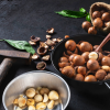 Nuci macadamia – Beneficii şi reţete cu nuci macadamia
