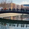 REPORTAJ. Pescuitul este interzis în zona podurilor până în martie, dar pe Dâmbovița, pescarii prind pești la „parașută”: „O capcană mortală pentru păsări”