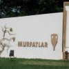 Ultima investigație la care a contribuit Iulia Marin. Context.ro: Cum a fraudat producătorul de vinuri Murfatlar statul român – datorii cât două spitale