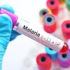 Măsuri de prevenire a cazurilor de malarie în Sălaj
