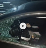 Atac mafiot în Timiș – un individ a distrus un Audi cu toporul