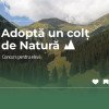 O nouă ediție a concursului „Adoptă un colț de natură”. Copiii pot câştiga o excursie în Parcul Național Pădurile Bavareze