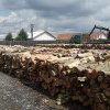Primăria Municipiului Săcele începe furnizarea lemnului de foc către populație
