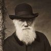 Biblioteca lui Charles Darwin, dezvăluită publicului. Avea 13.000 de cărți, printre care și pamflete. Lucrările pot fi accesate online