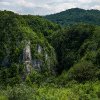 Care este cea mai veche pădure din România. Zona în care copacii au sute de ani