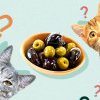 De ce au pisicile o obsesie pentru măsline? Motivul pentru care adoră aceste gustări
