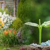 Îngrășământ bio pentru grădina ta. Ingredientele care îți vor transforma plantele
